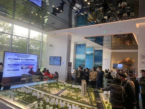 單月64套 走近看看佛山解限后的禪城江景盤