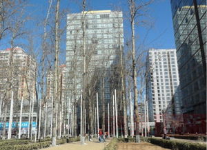 橡樹(shù)公館 北京橡樹(shù)公館配套實(shí)景圖,樣板間,效果圖,戶(hù)型圖 北京網(wǎng)易房產(chǎn)