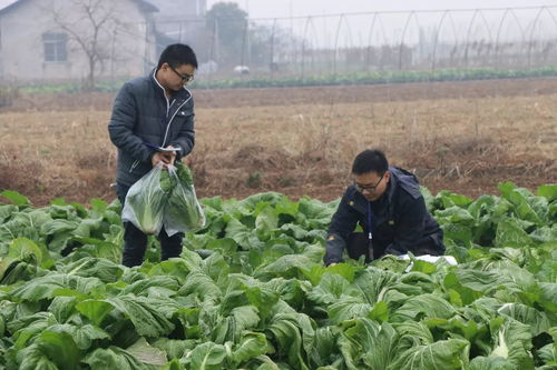 筑牢“舌尖安全”首道防線 強(qiáng)化食用農(nóng)產(chǎn)品初加工環(huán)節(jié)質(zhì)量安全監(jiān)管