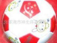 張家港市神龍?bào)w育用品