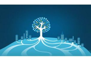 你投出的廣告效果真有業(yè)務(wù)員說(shuō)的那么神嗎